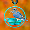 Mosaic Birds Hummble Bold Feeder