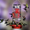Glass Hummingbird Feeder 32 oz - Qivras