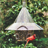 Mandarin Squirrel Proof Bird Feeder - Qivras