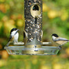 Round Universal Bird Feeder Seed Tray - Qivras