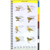 Birds of the Southeast Quick Guide