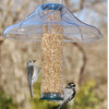Fancy Swirl Aspects Bird Feeder Dome - Qivras