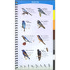 Birds of the Southeast Quick Guide