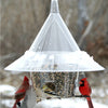 Mandarin Squirrel Proof Bird Feeder w/Dividers - Qivras