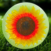 Sunflower Glass Hanging Bird Bath