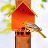 Mosaic Birds Cottage Bird Feeder