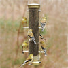 Quick Clean Nyjer Bird Feeder 16" - Antique Brass - Qivras