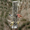 Quick Clean Tube Bird Feeder - 16" Brushed Nickel - Qivras