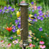 Quick Clean Nyjer Bird Feeder - 16" Brushed Nickel - Qivras