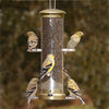 Quick Clean Nyjer Bird Feeder - 12" Antique Brass - Qivras