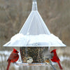 Sky Cafe Squirrel Proof Bird Feeder w/Dividers - Qivras