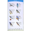 Birds of the Midwest Quick Guide
