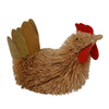 Buri Bristle Chicken Assorted 6.5 inch