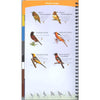 Birds of the Southwest Quick Guide