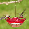 HummBlossom Hummingbird Feeder - Rose