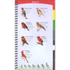 Birds of the Southwest Quick Guide