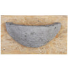 Barn Swallow Mounted Bird Nest - Qivras