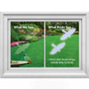 Hawk WindowAlert Decal 2 pack