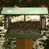 Recycled Double Hopper/Suet Bird Feeder