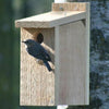View Thru Cedar Bluebird House