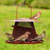 Red Cardinal Mesh Bird Feeder