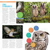 Exploring the World of Owls