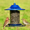 Panorama Blue Sparkle Bird Feeder