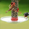 Screw-On Bird Feeder Seed Tray 7.5 inch
