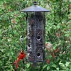 Squirrel Be Gone III Wild Bird Feeder