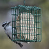 EZ Fill Suet Feeder Basket Green - Qivras