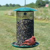 Mammoth Sunflower Seed Bird Feeder Green