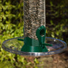 Bird Feeder Seed Tray Accessory 7.5 inch - Qivras