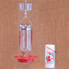 Glass Hummingbird Feeder Kit 32 oz - Qivras