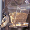 Window Cafe Seed Bird Feeder - Qivras