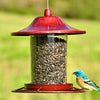 Panorama Red Sparkle Bird Feeder