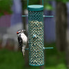 Wild Bird Suet Nugget Feeder - Qivras