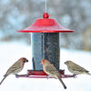 Panorama Red Sparkle Bird Feeder