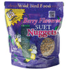 Berry Flavored Suet Nuggets 27 oz - Qivras