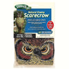 Inflatable Owl Decoy Deterrent - Qivras