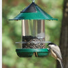 Chickadee Bird Feeder - Green - Qivras