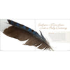 Feathers: A Beautiful Look at a Bird's Most Unique Feature