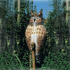 Inflatable Owl Decoy Deterrent - Qivras