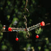 Whimsy Tweeter Totter Hummingbird Feeder