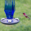 Sapphire Starburst Hummingbird Feeder