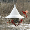 Mandarin Squirrel Proof Bird Feeder - Qivras
