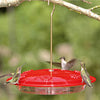 HummZinger Excel Hummingbird Feeder - Qivras