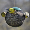Sunflower Seed Sphere Bird Feeder Green