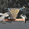 Hopper Window Bird Feeder w/Perch