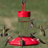 Dr JBs Clean Hummingbird Feeder Red 16 oz - Qivras
