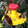 Butterfly Nectar Feeder Kit